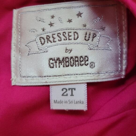 Dressed Up by Gymboree Hot Pink & Black Floral Cap Sleeve Party Dress - size 2T - Picture 3 of 5